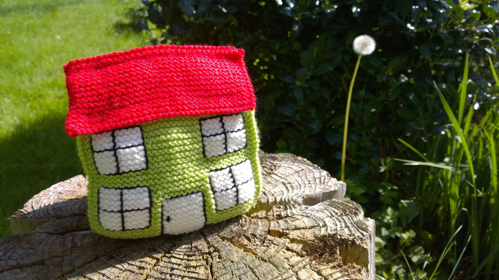 Canva Knit of a House 1